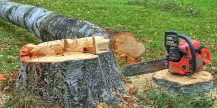 Best Leaf Removal  in Springville, AL