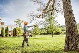 Best Lawn Grading and Leveling  in Springville, AL