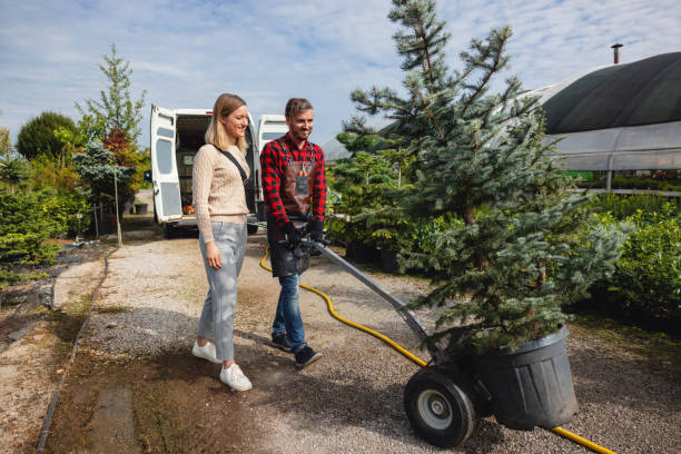 Best Hazardous Tree Removal  in Springville, AL